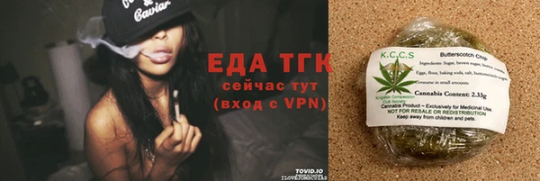 тгк Бикин