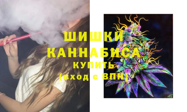 прущие крисы Билибино