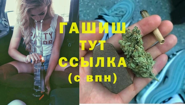 прущие крисы Билибино