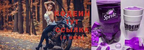 тгк Бикин