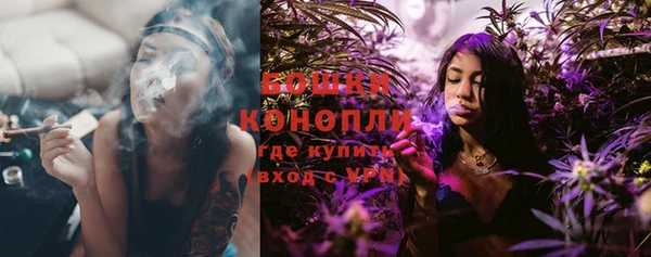 тгк Бикин