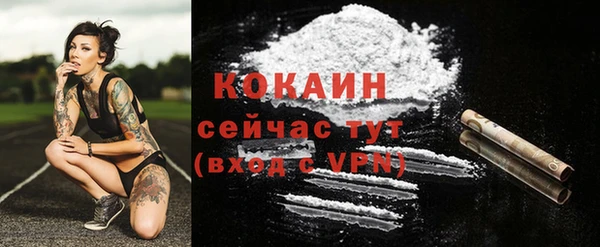 прущие крисы Билибино