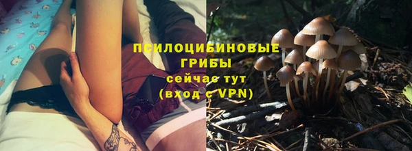 стафф Беслан